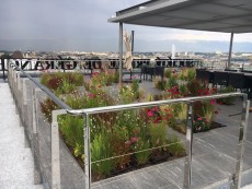 Photographie: Marina Denogent, Prangins Photographie: Marina Denogent, Prangins