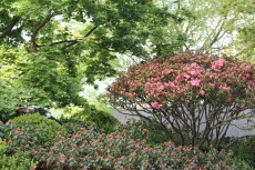 Photographie: Marina Denogent, Prangins Photographie: Marina Denogent, Prangins